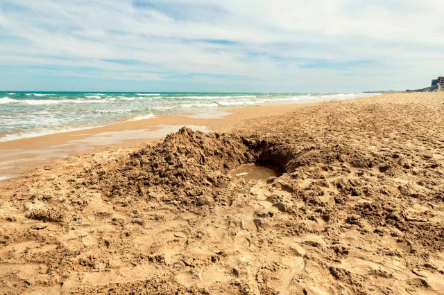 "People don't understand that leaving holes on the beach can suffocate people if the tide is high and they fall in."