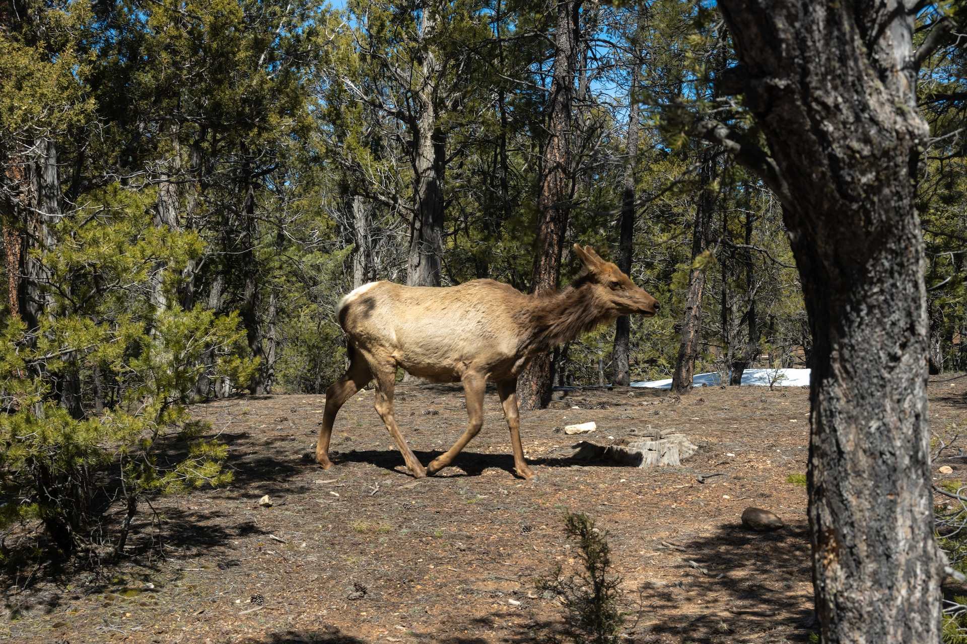 "Wish people would learn to connect with nature more."