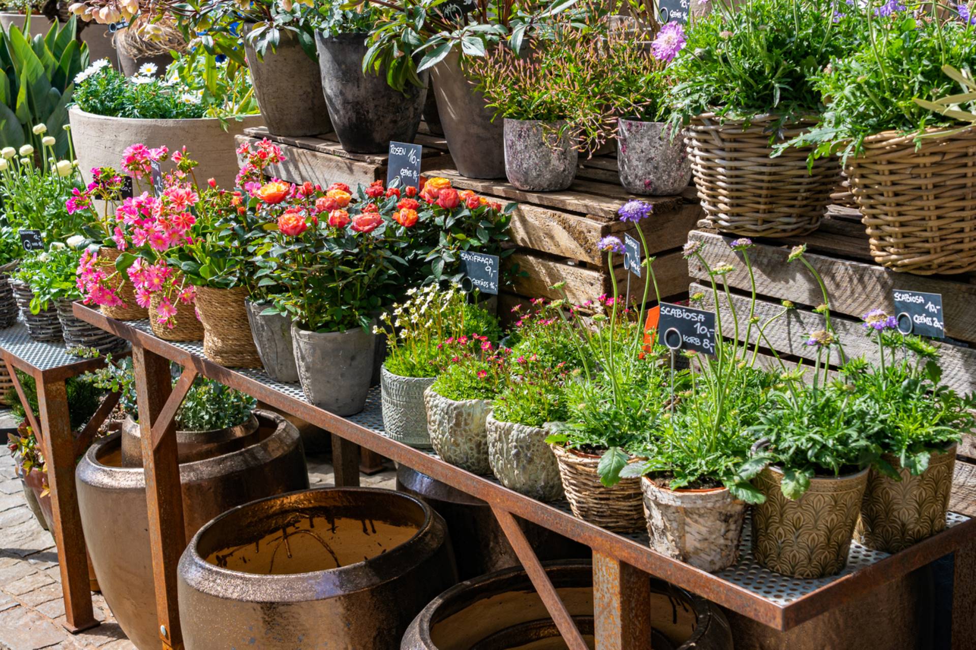 The community responded with something surprising: Whether they’re the invasive varieties or not, beware of planting.