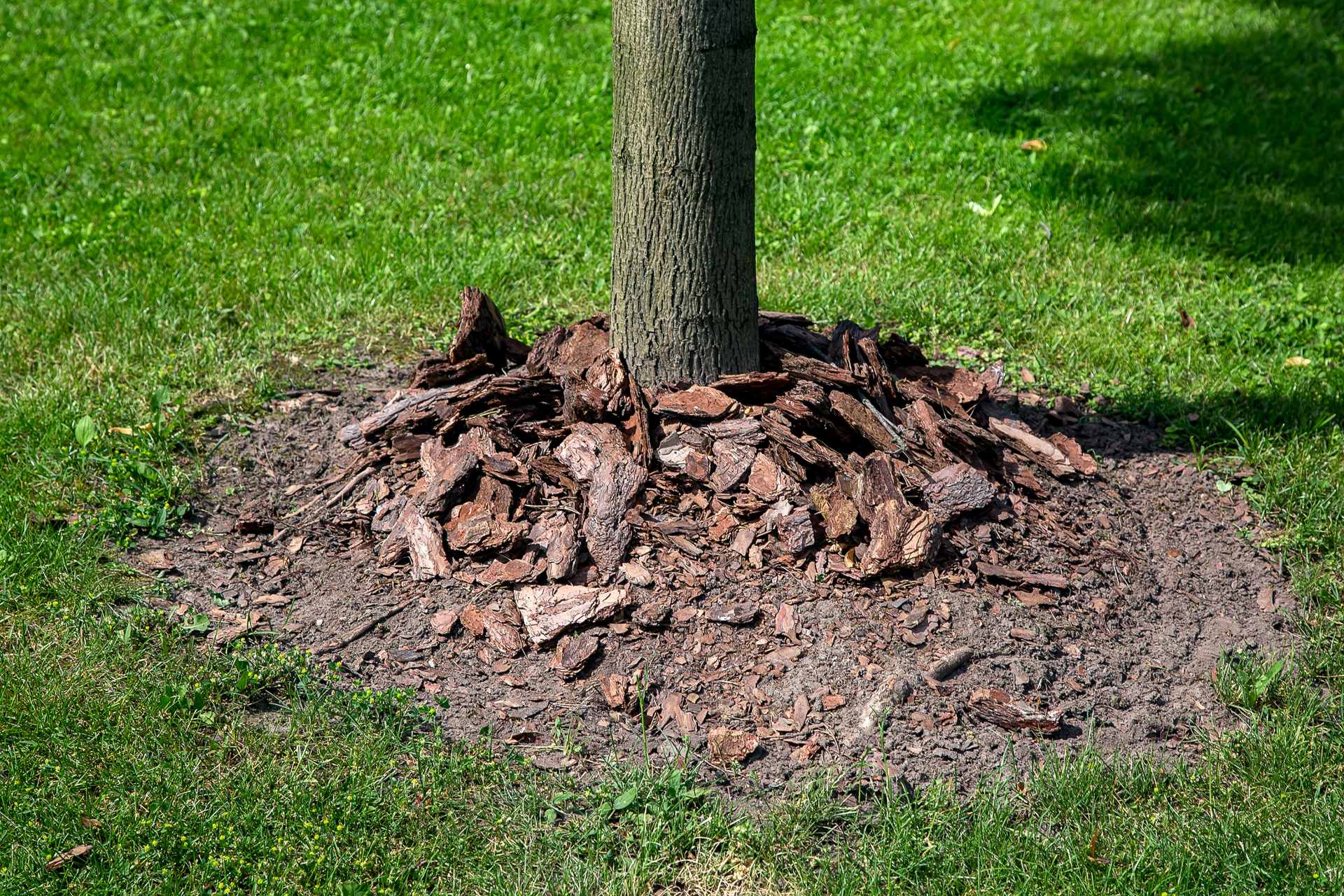 "Unfortunately our landscapers were picked by our contractor before we bought the house."