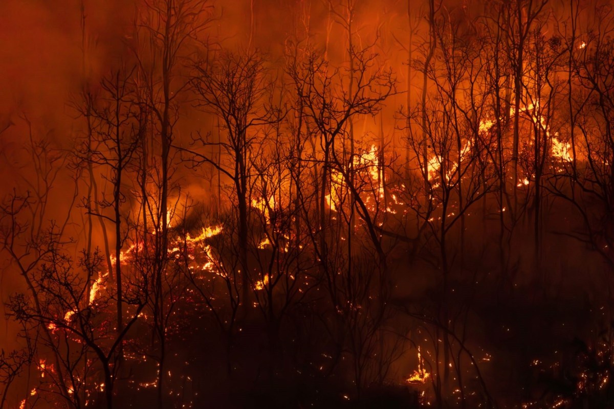 The Rancho Fire led to the evacuation of 1,000 people, who were later able to return to their homes while monitoring the ongoing risk.