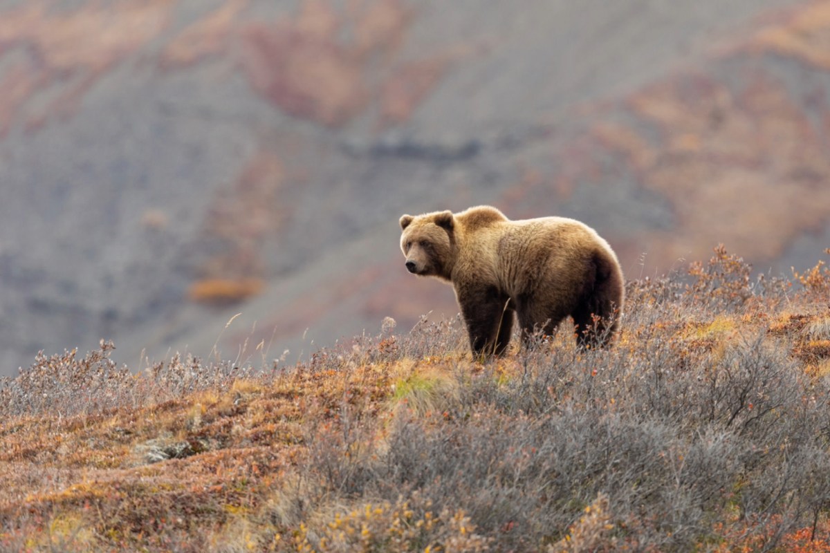 All too often wildlife crimes go unpunished.