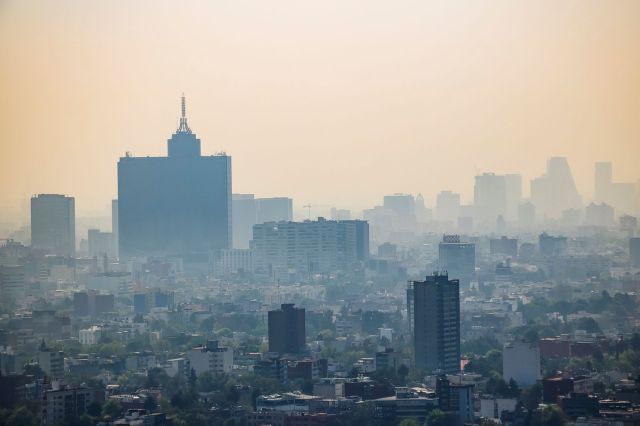 The study adds to a growing body of literature demonstrating the health risks associated with air pollution.