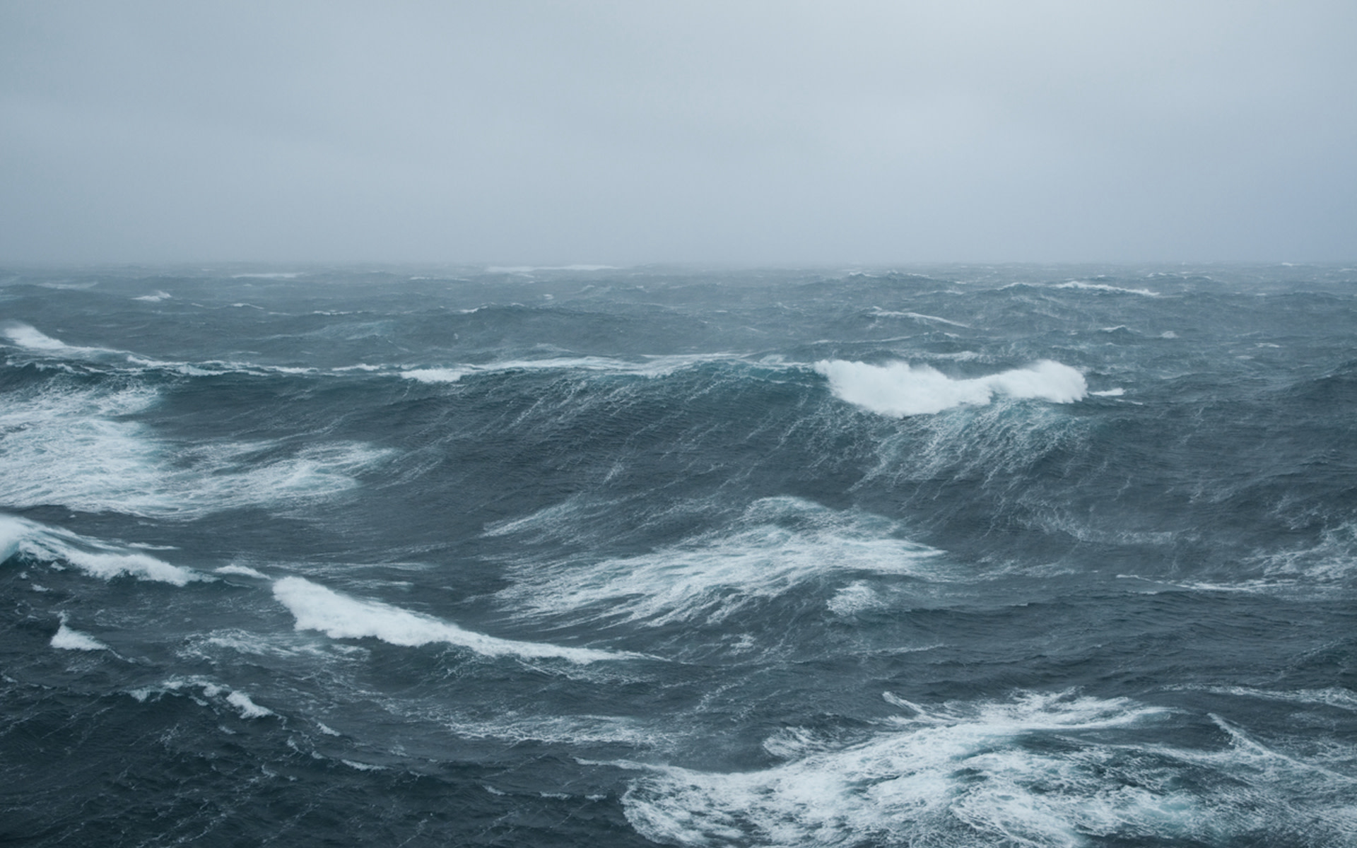 "Oceans aren't just a nice backdrop for your selfies in summer..."