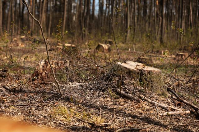 Of all protected lands, wetlands are some of the most important.