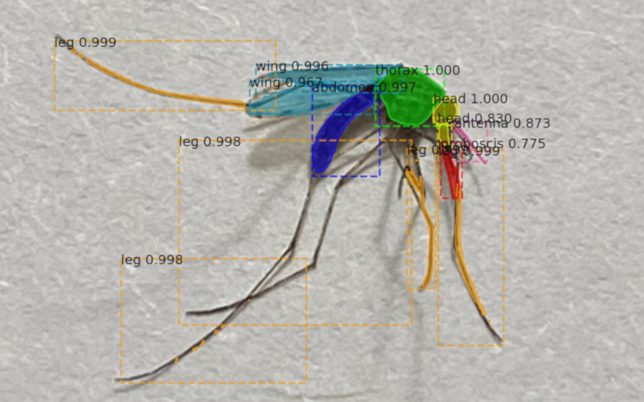 "Florida is ground-zero for mosquito-borne diseases in the U.S."