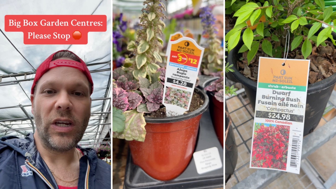 Customer calls out big-box garden centers for selling problematic products to unsuspecting customers: 'In what world is this OK?'