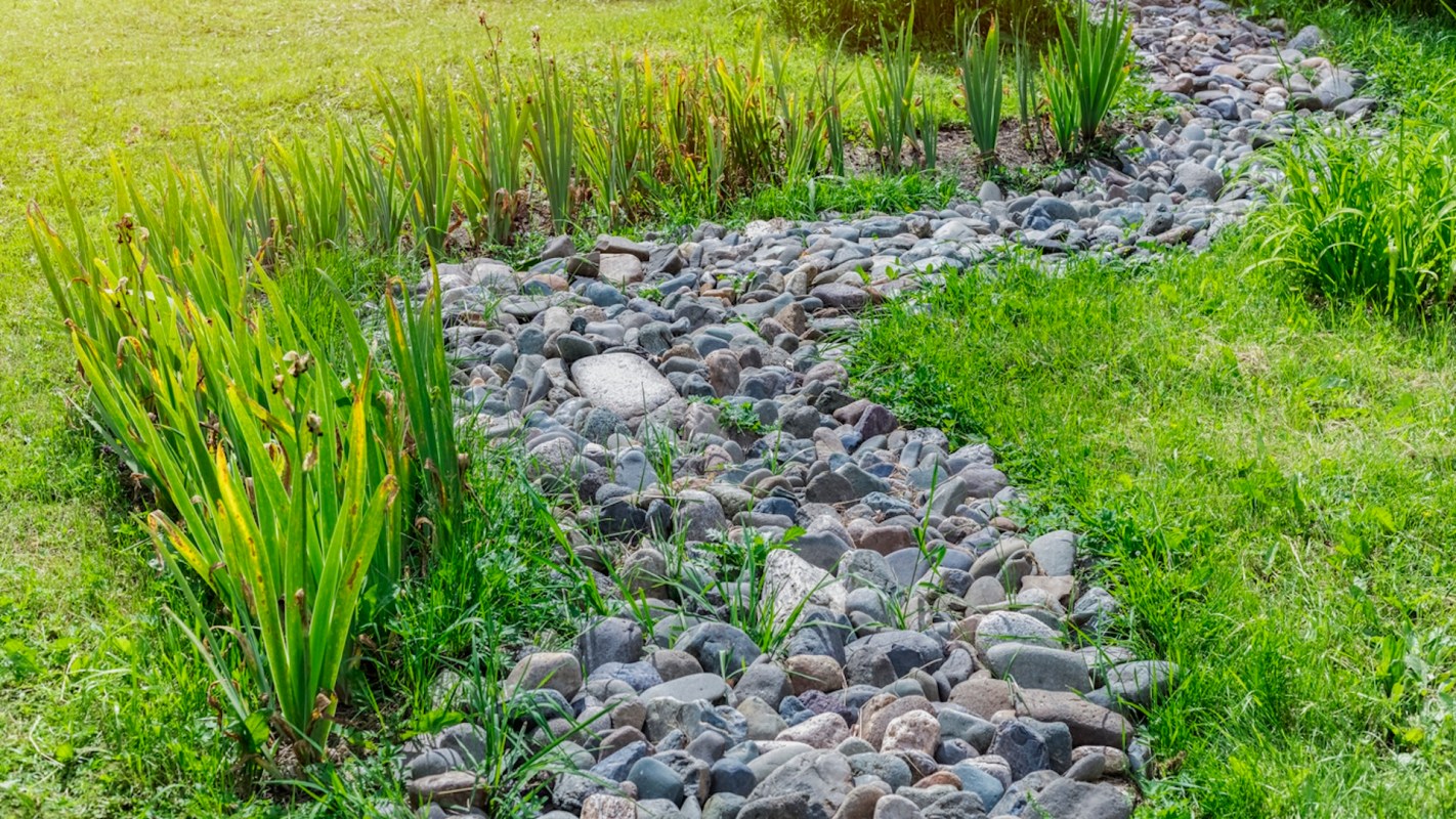 "I hope one day gardeners will change their attitude."