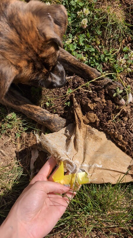 "It's like doing an archaeological dig at the effing dump."