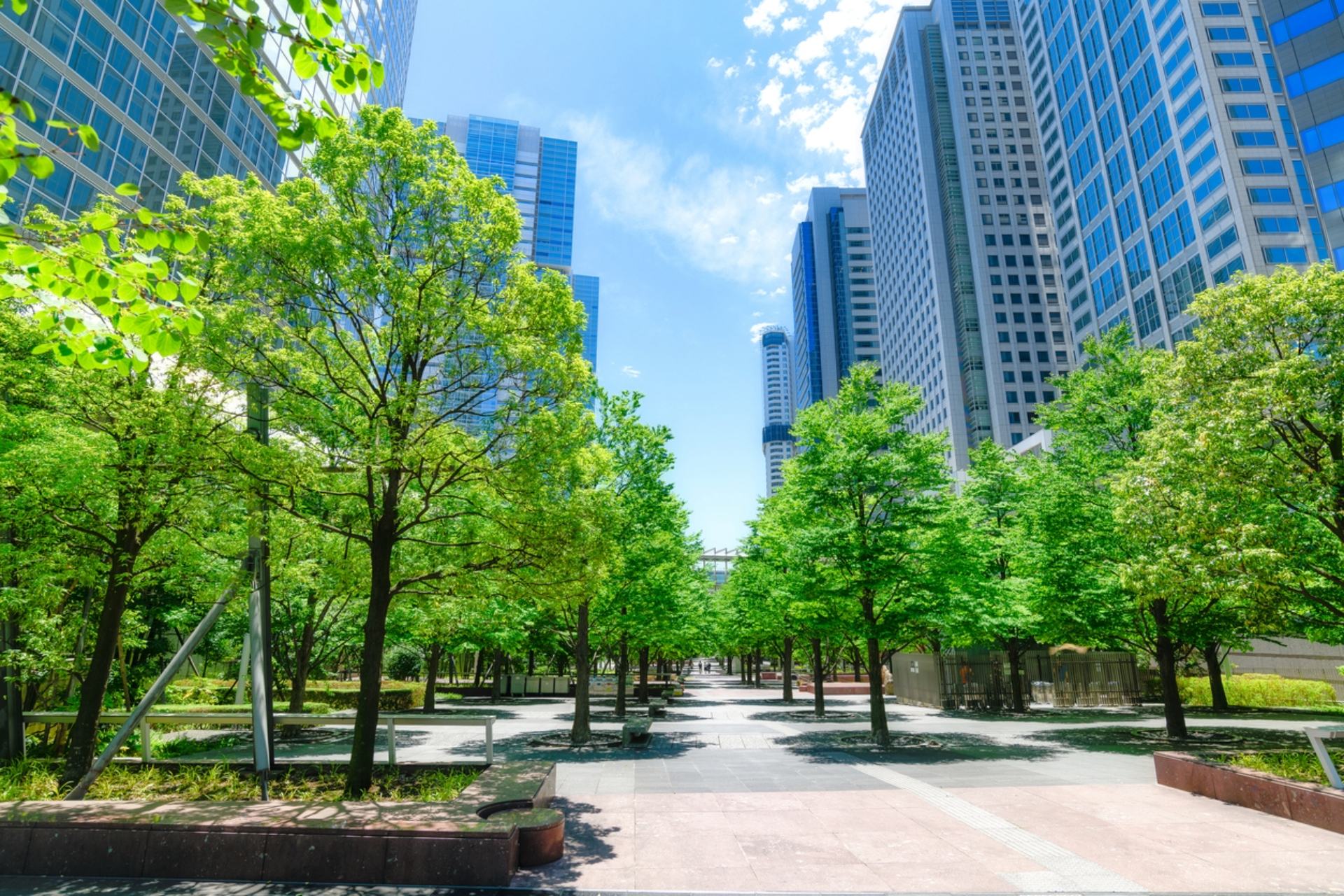 "The study highlights a strong link between observing green elements ... and mental health benefits."