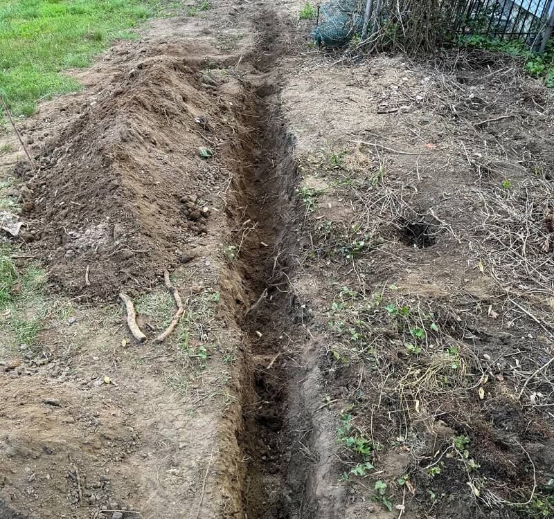 "Neighbor planted bamboo before we bought the house roughly 3 years ago and now we're dealing with it."