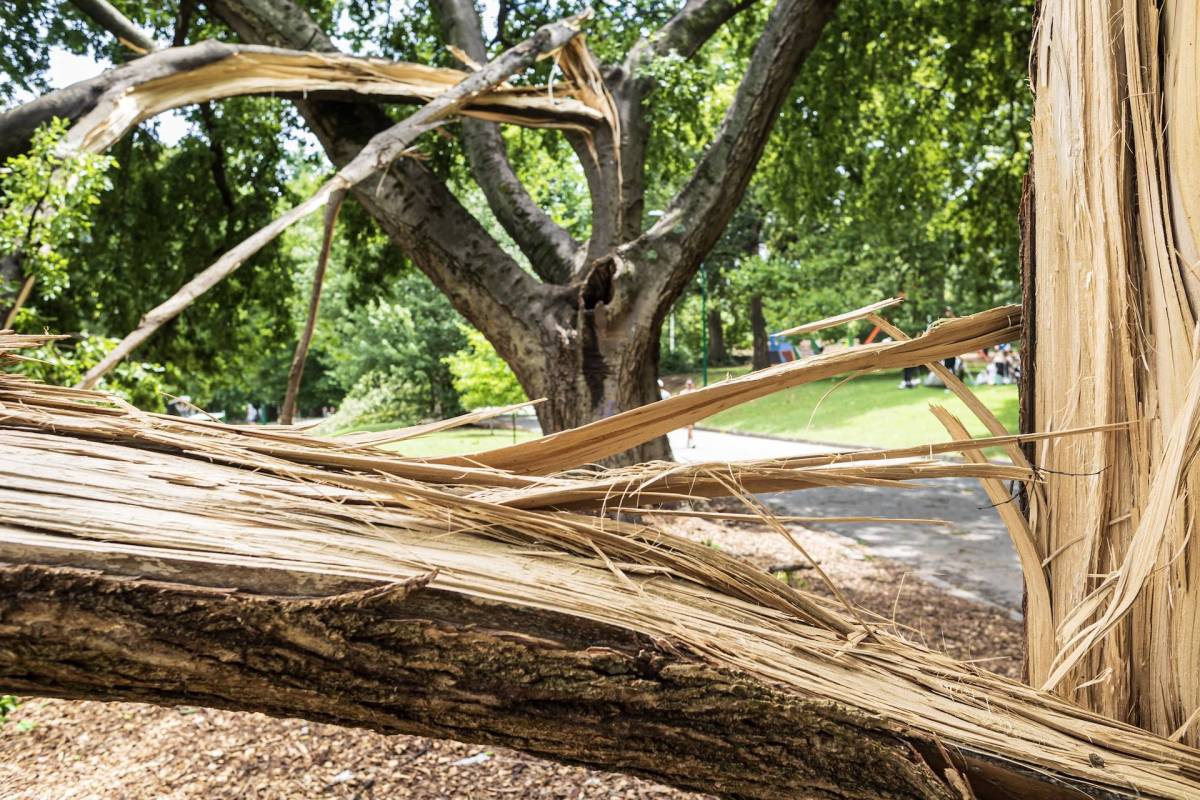 "It's just devastating to all of us who have put so much time into this beautiful park."