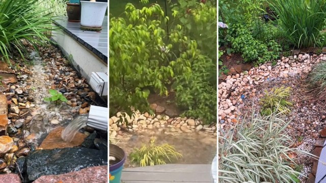 Rain gardens not only prevent flooding but also prevent runoff from polluting waterways.