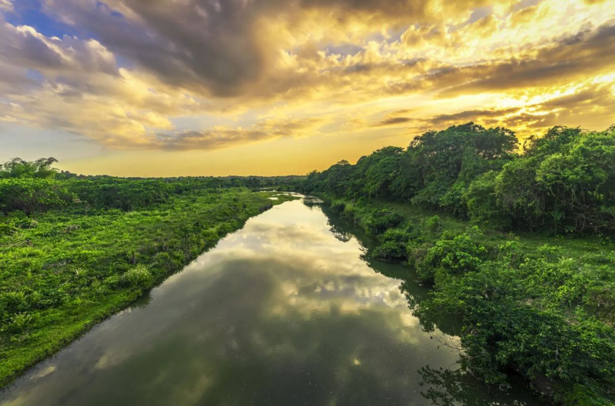 "To fix the water crisis, we need to rebuild the watersheds."