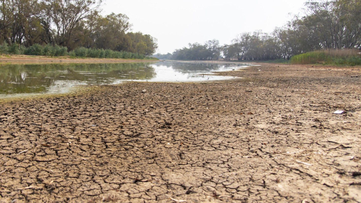 The loss of these soil dwellers could have big implications for our climate and food supply.