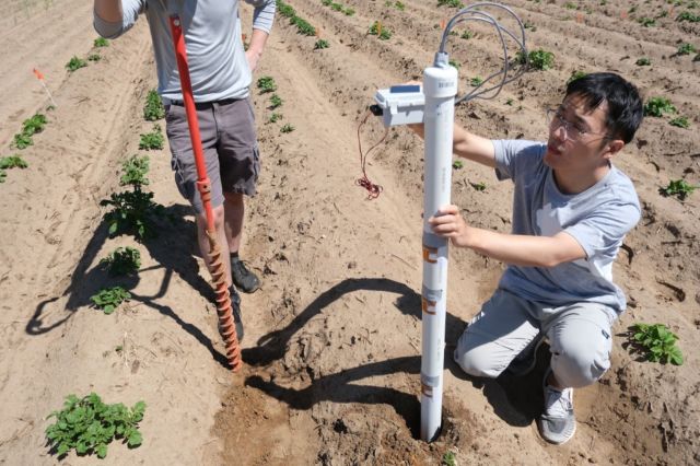 The experts intend to measure multiple soil metrics by placing the sensors in rods, and putting them into fields at varied deepness.