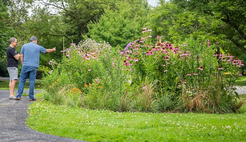 "I can't believe that I'm the house with this beautiful garden."