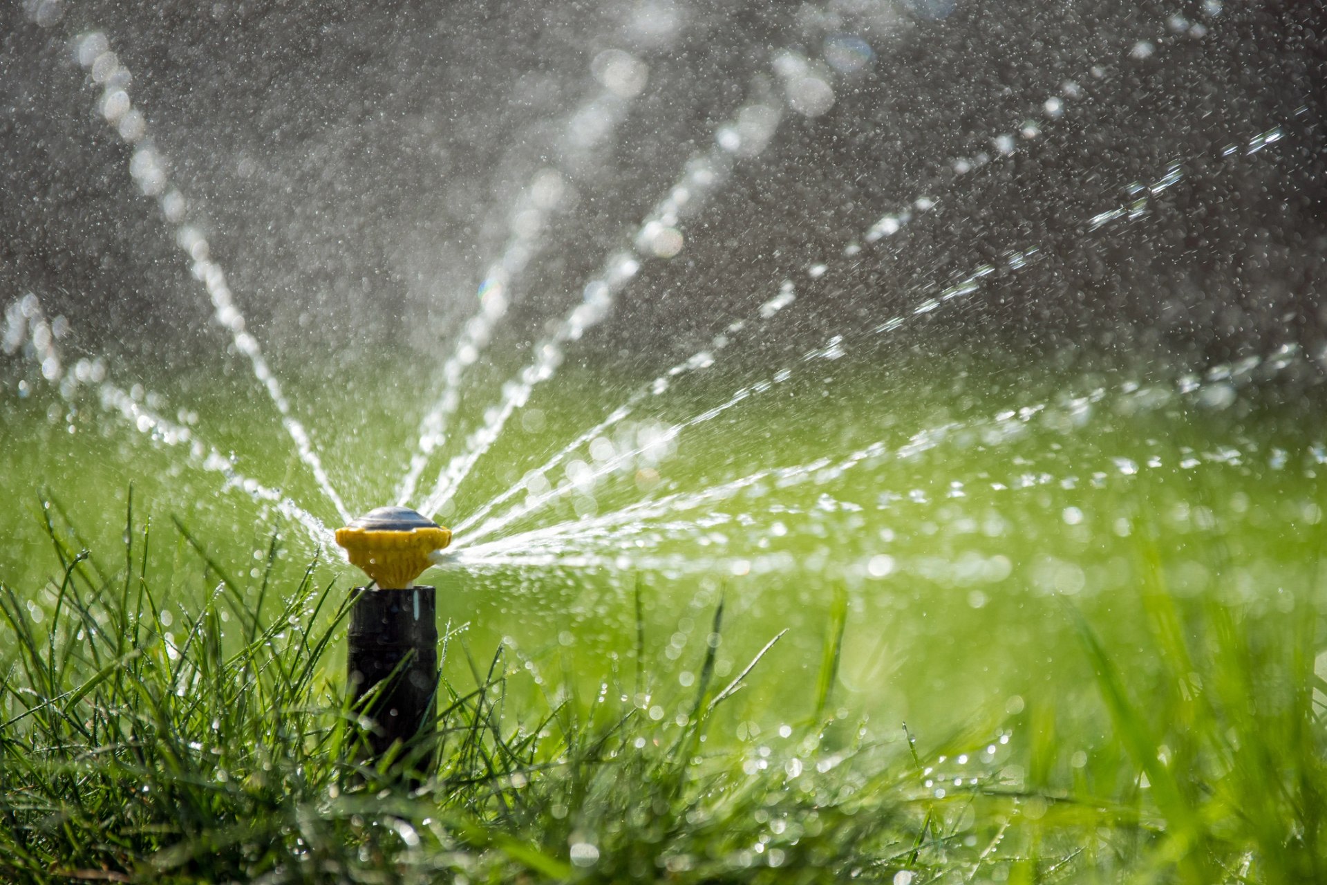 "For the love of God turn off your irrigation systems."