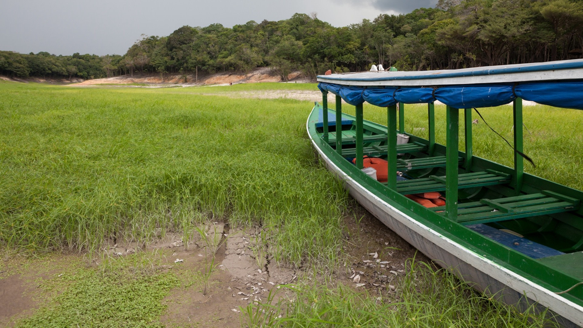 Amazon Rainforest Faces Troubling New Phenomenon As Water Levels Drop ...