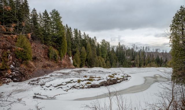 These sightings not only bring hope but also underscore the importance of continued conservation work to protect and restore the habitats of these incredible animals.