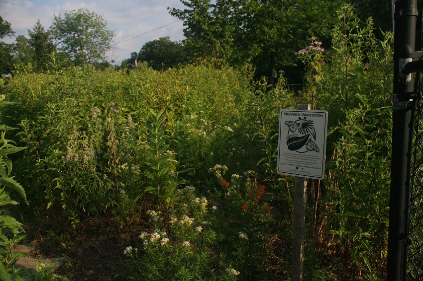 "It's all about growing what is native to your area!"