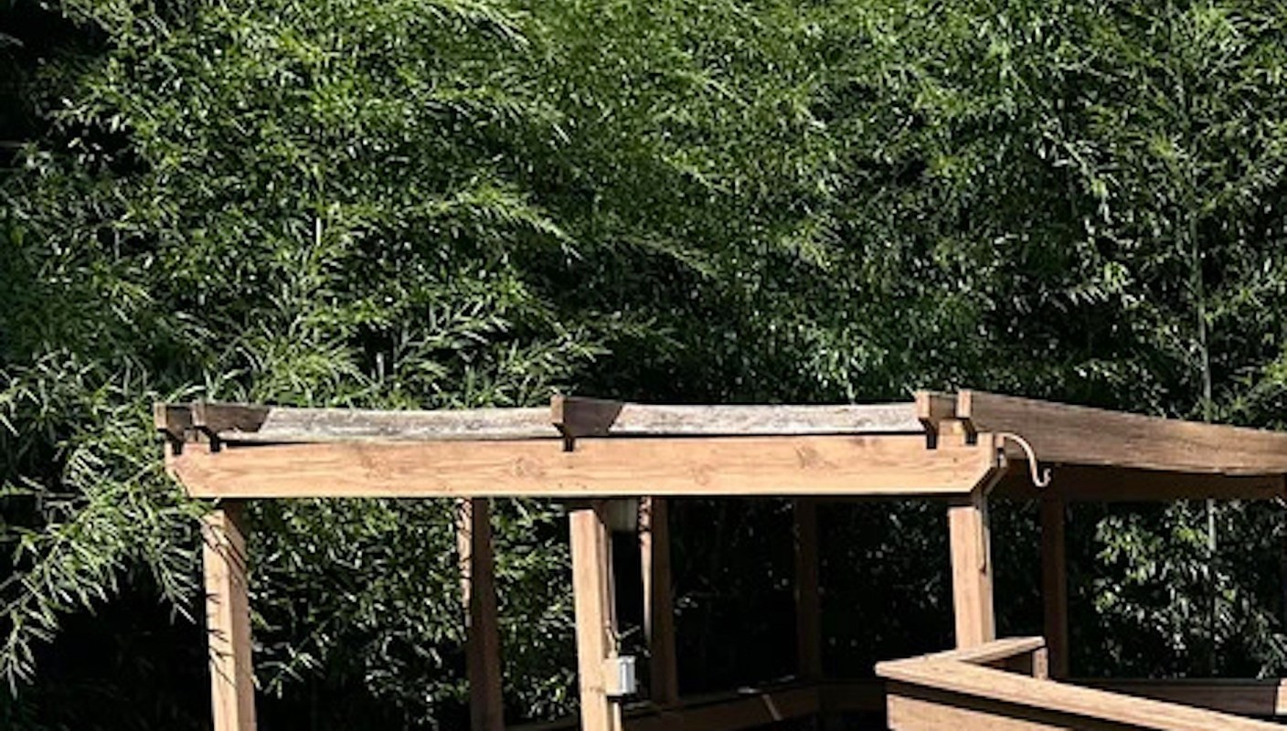 "Took 3 full days for me to remove bamboo from a 10ish square foot area … I will never mess with bamboo again."