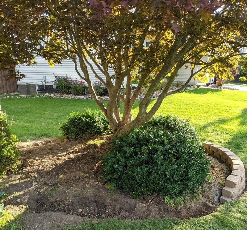 All of the roots were less than two inches in diameter, but when they came upon a bigger root, they finally realized the harm they were causing the tree.