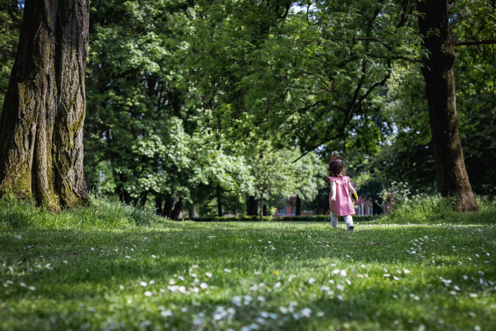 Researchers discover a profound connection between early experiences in the outdoors and lung health – what parents should know