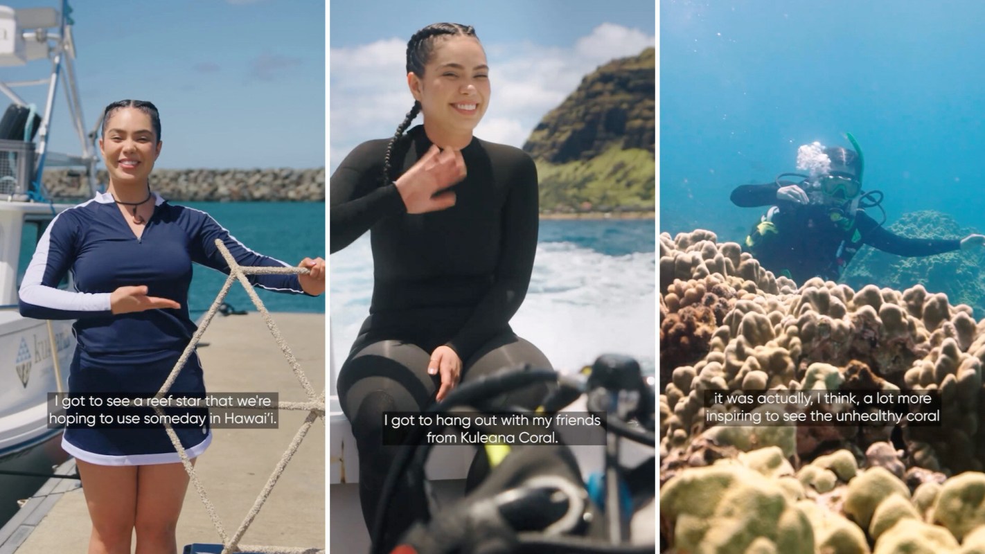 The actress who plays the voice of Moana partnered with Sheba and Kuleana Coral Reefs for the project.