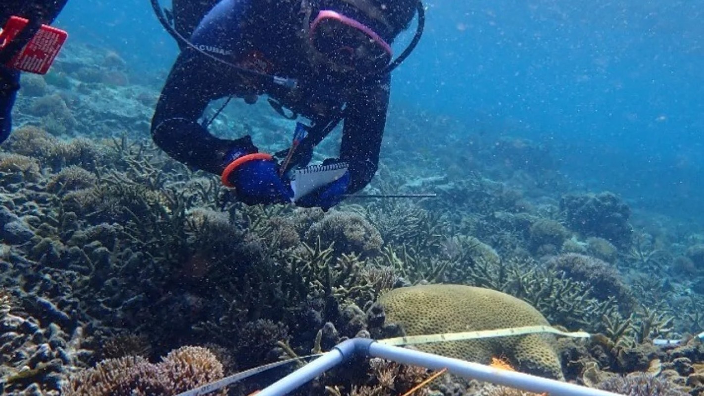 "The Mars project has set the bar really high for how you can do evidence-based reef restoration."