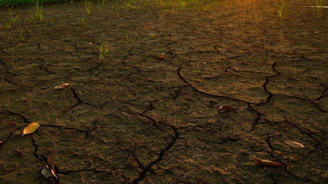 "We cannot and will not stand by and watch our hardworking farmers suffer from this severe lack of rain."