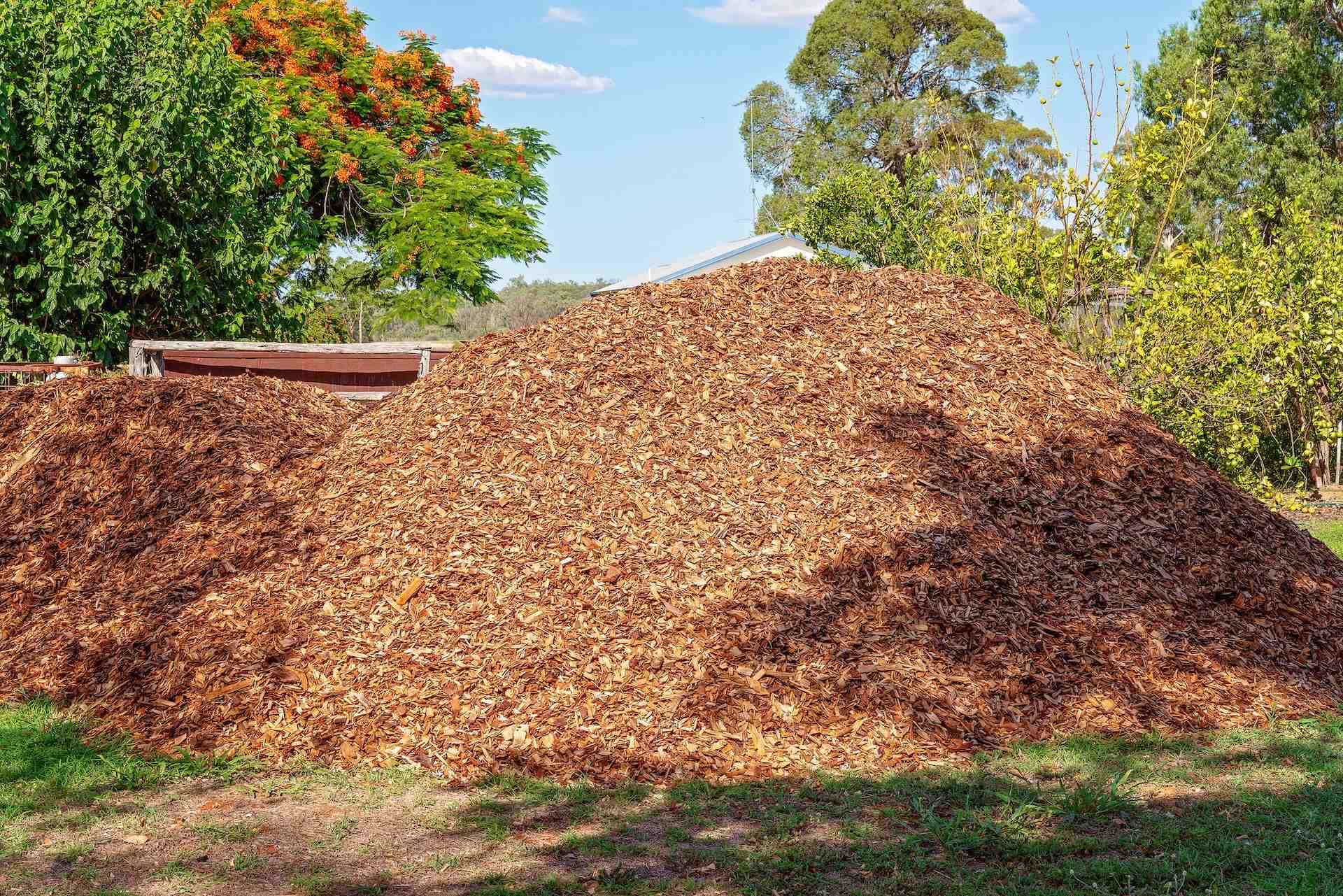 A home gardener can save a lot of money with these mulching hacks.