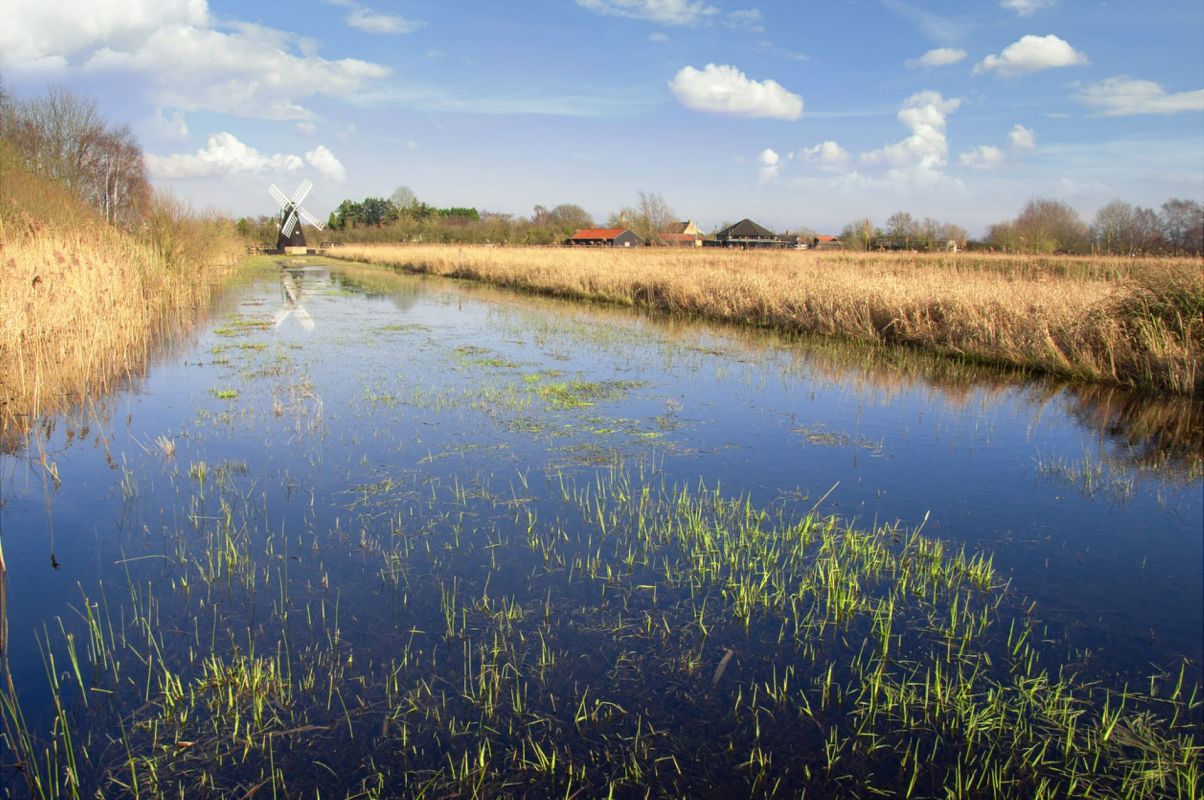 "Having a new species, or rather species, return to the Great Fen is a very positive move."