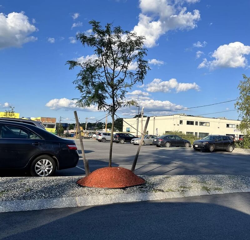 "Some professional landscapers are hard at work here!"