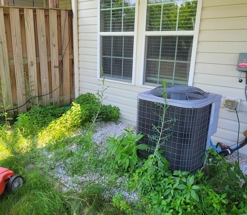 "My front and back yards end up looking like this every 2-3 weeks."