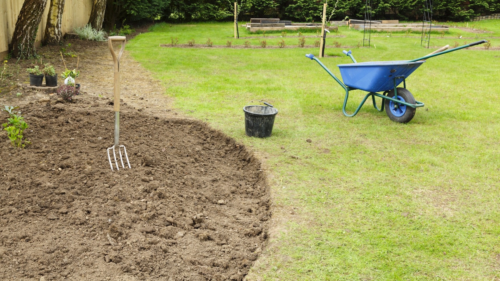 "You'll have to do a ton of work to make the soil underneath it healthy again."