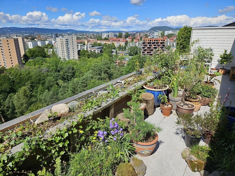 Gardens like this one are reminders that you can install native plants almost anywhere.