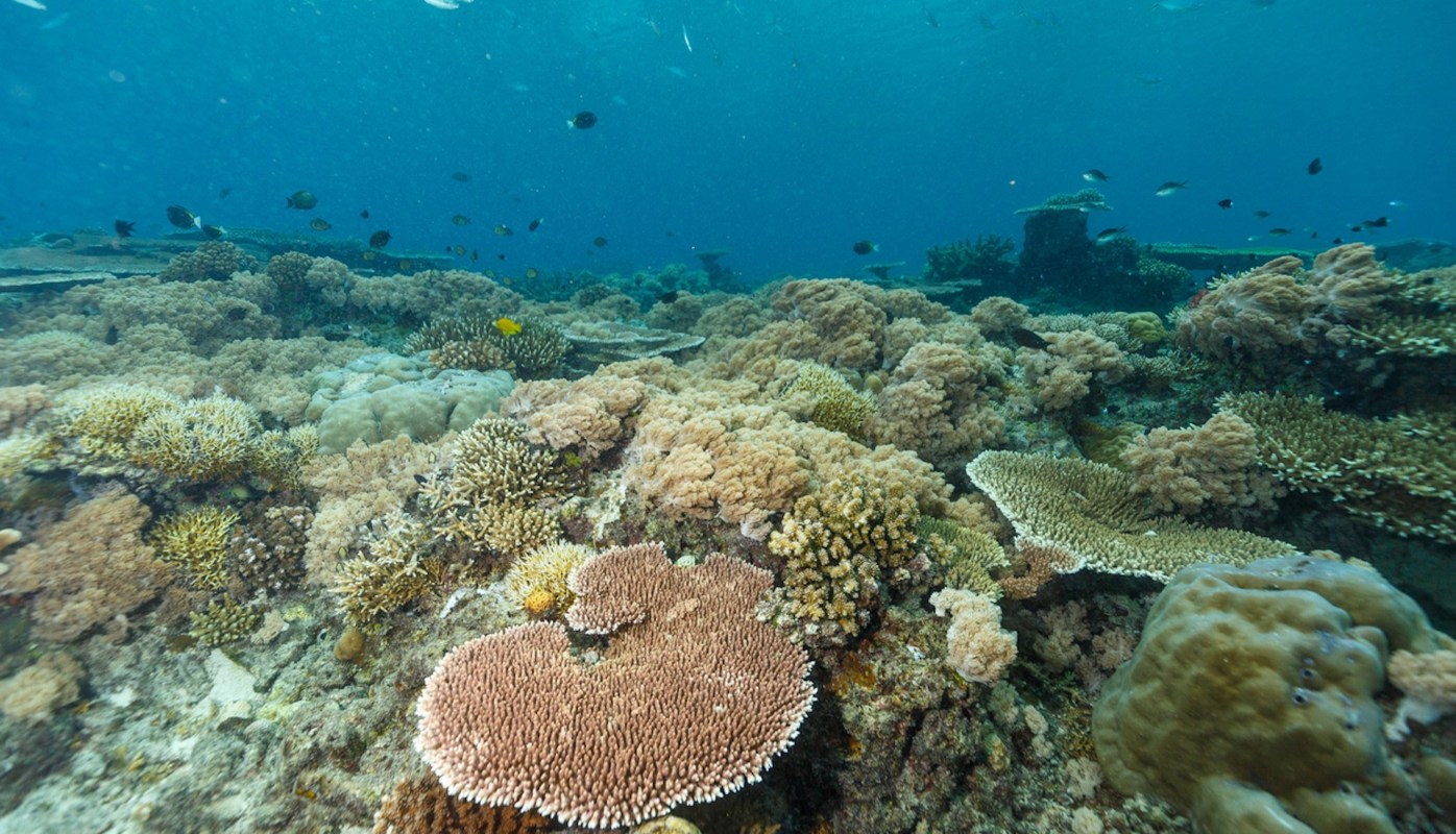 "It is critical that we come together around the use of evidence-based metrics and indicators for decision-making in ocean spaces."