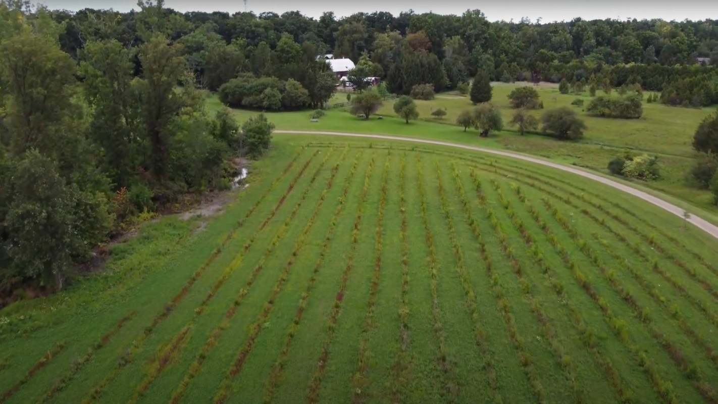 "It's really important if we're to co-exist with nature to have these natural areas where nature can flourish and thrive."