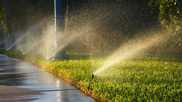 This incident serves as a reminder of the importance of responsible water use, particularly in landscaping.