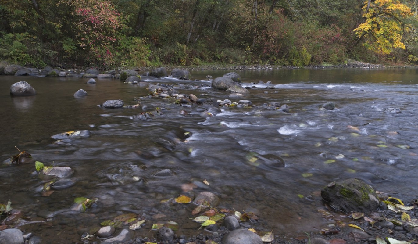 "These temporary streams are often overlooked since they may look like unremarkable dry ditches for much of the year."