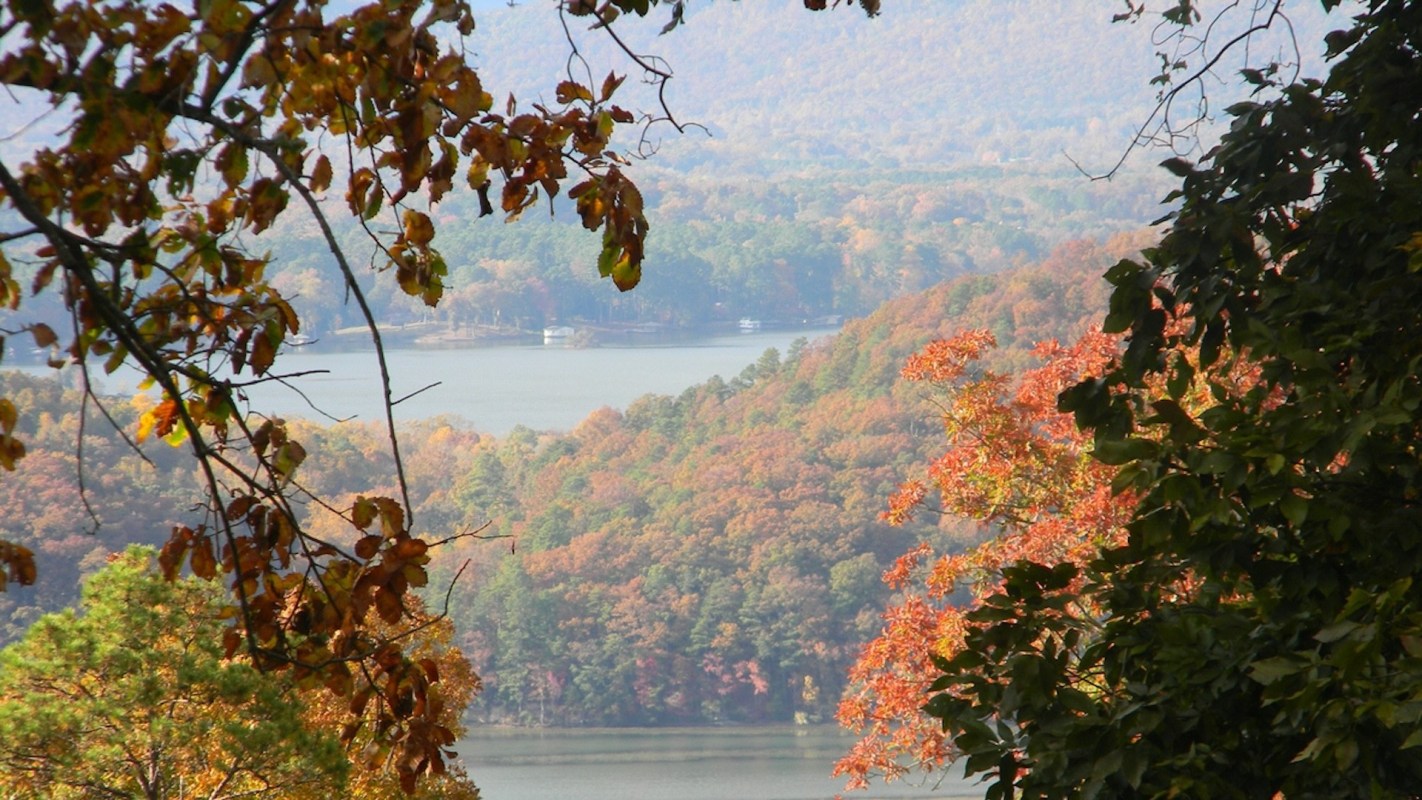 Beyond wildlife concerns, residents worry about potential air and water pollution, increased truck traffic, and the impact on property values.