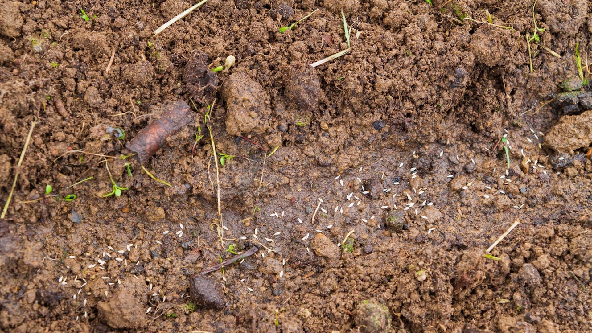 "Plastic will heat up what is underneath as soon as the sun hits it."