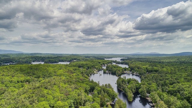 "Amazing places like these urgently need to be protected before they are lost."