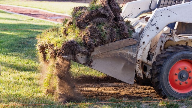 "Bugs with habitat, as nature intended."