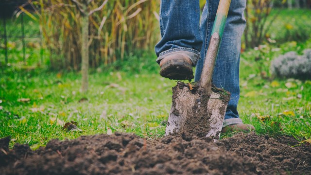 "No wonder why my radishes that I planted like 3 weeks ago barely broke the surface."