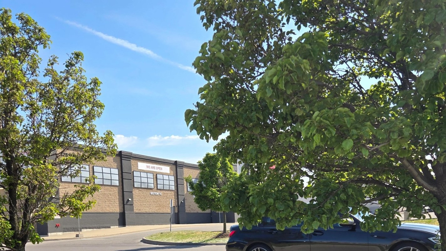 Mulch volcanoes are a pervasive and popular landscaping trend in which mulch is piled up and packed tight around the base of a tree, forming a volcano-like cone.