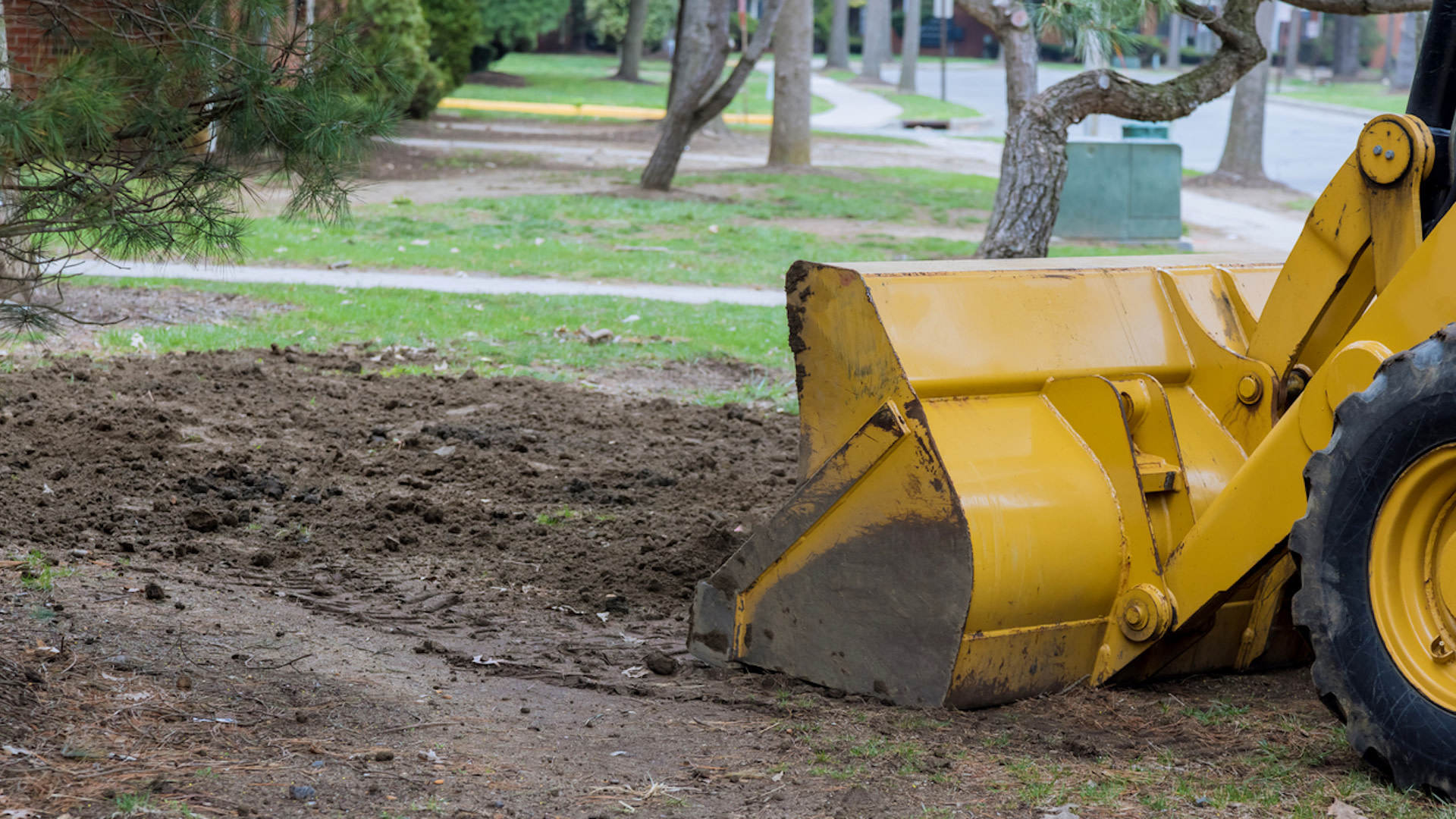 Homeowner frustrated after neighbor damages trees and property during construction: “Talk to a lawyer”