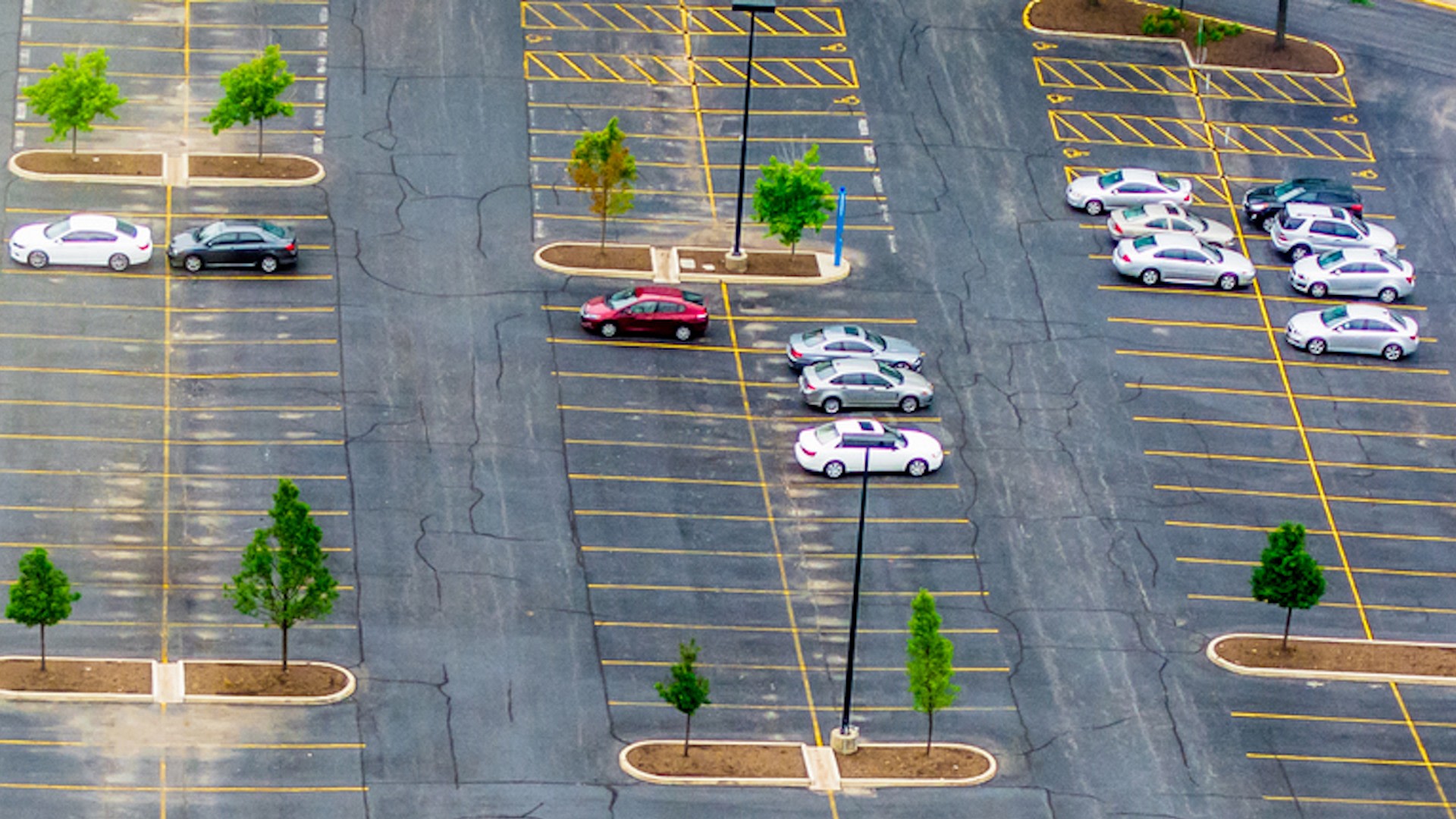 Passerby photographs major landscaping faux pas in parking lot: “Slow murder”