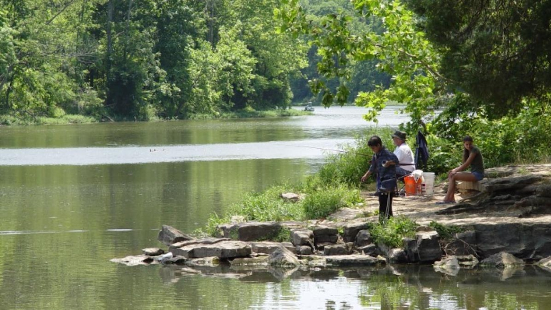 "People love dumping anything and everything around that area."